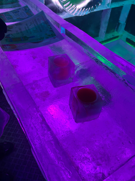 Check in | Experiența la un club tematic din Praga. Petrecere la -10°C și roboți care mi-au preparat o băutură