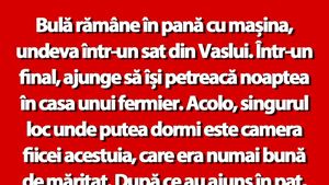 BANC | Bulă și fata fermierului din Vaslui