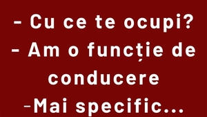 Bancul sfârșitului de săptămână | Funcție de conducere