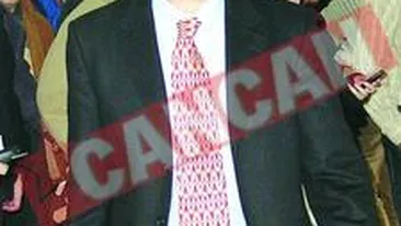 Iordanescu, 7 terenuri, 6 case Si 3 masini