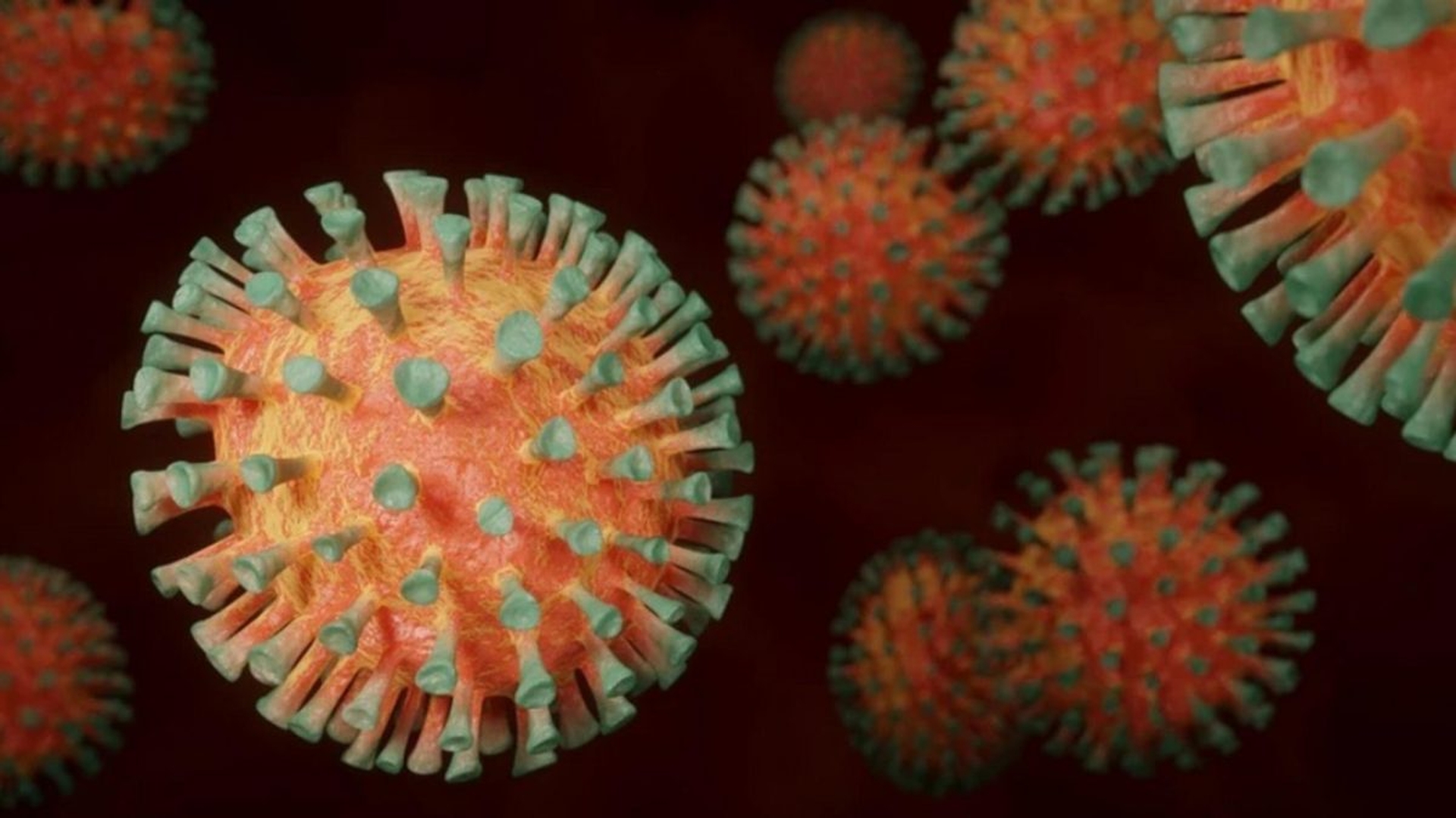 Coronavirus România, 24 iulie 2021. Prima zi cu zero decese în țară