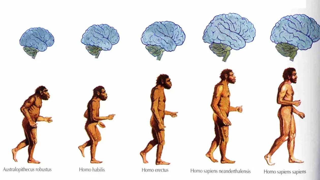 Descoperire controversată. Cum arătau și ce mâncau oamenii, de fapt, în anul 400 î.e.n.