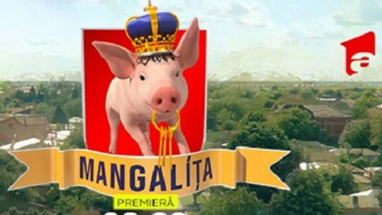 Decizia drastică luată de Antena 1 din cauza audiențelor slabe. Ce se întâmplă cu serialul Mangalița, după doar 6 episoade difuzate
