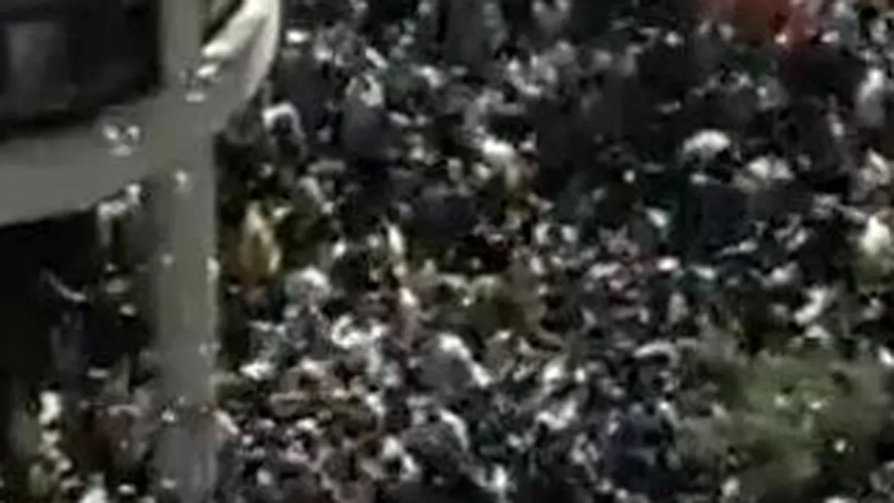 VIDEO In Rio de Janeiro ploua cu bani! VEZI AICI cum au reactionat oamenii!