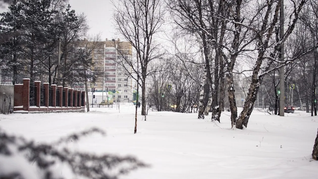 Prognoza meteo pentru marți, 23 decembrie 2025. Vreme preponderent închisă, frig și umitidate accentuată