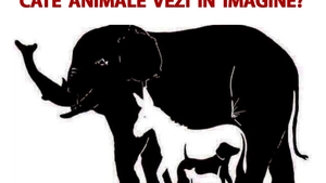Testul IQ care îți spune cât de deștept ești: Câte animale vezi în imagine?!