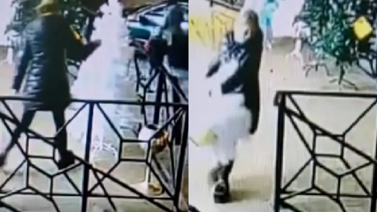 O femeie din Cluj a furat un brad din fața unui magazin. Pomul s-a dezmembrat, însă hoața a dus treaba până la capăt