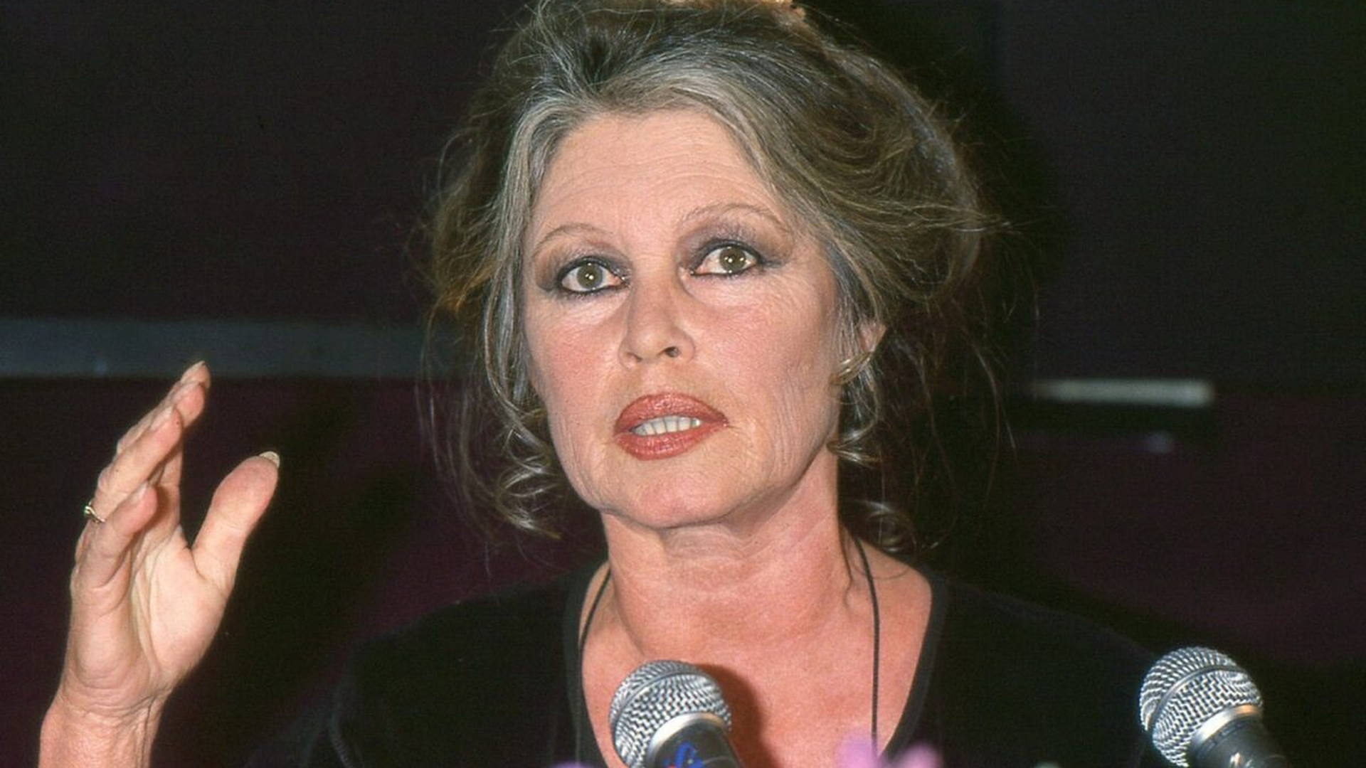 Totul pentru animale! Ce se întâmplă cu averea lui Brigitte Bardot și cu ce se alege fiul ei?