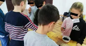 Galerie foto - poza 2