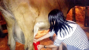 Andreea Raicu a ajuns la "coada vacii"! A petrecut un week-end la tara si a avut grija de animalele din gospodarie - Se trezea cu noaptea in cap sa mulga vaca!