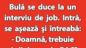 BANC | Bulă, interviul de job și diploma de BAC