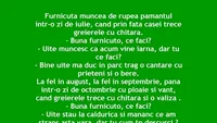 BANCUL ZILEI | Greierele și furnica - varianta 2023