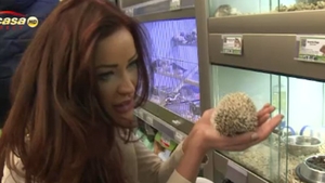 Bianca Drăguşanu nu ar purta niciodată haine de blană naturală, de mila animalelor: "Mi se pare snobism"