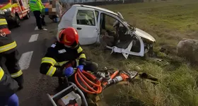 Galerie foto - poza 3