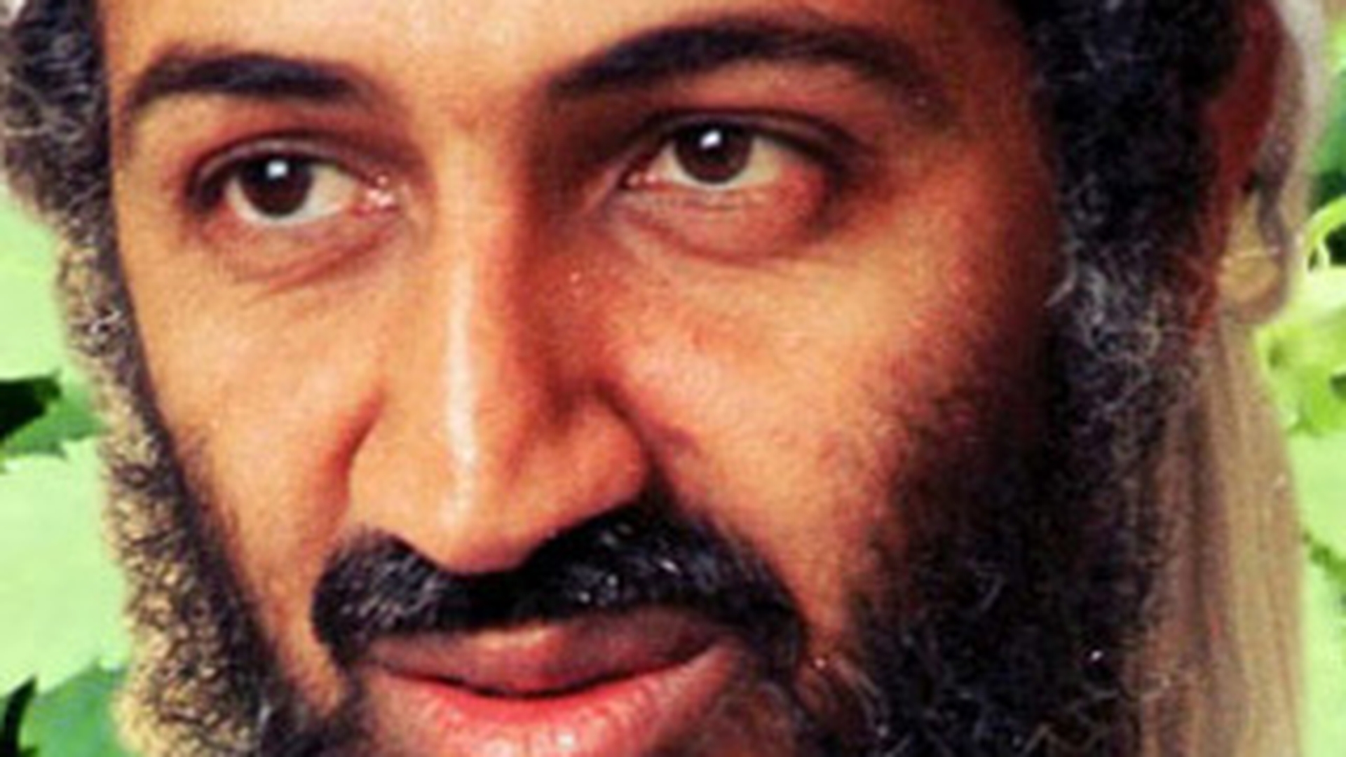 Osama bin Laden mai avea o singura dorinta: sa schimbe numele retelei Al-Qaeda