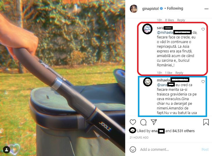 Gina Pistol, criticată dur pentru gestul făcut față de mica ei prințesă: “O nepricepută, se crede buricul României”. Care este mărul discordiei