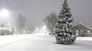 S-a întors iarna! Cod galben de ninsori, ploi şi vânt puternic în Bucureşti şi 32 de judeţe!