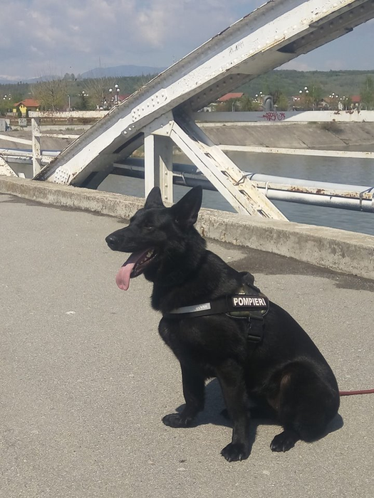 Mura este vedeta pompierilor de la ISU Gorj