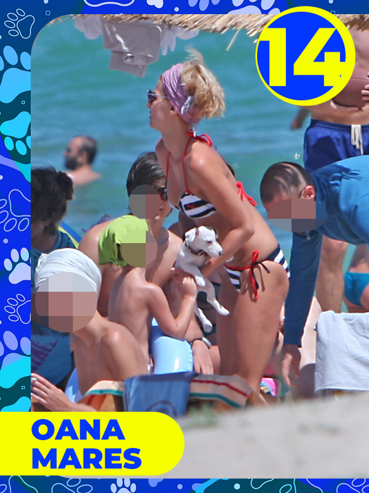 Top 25 vedete care și-au etalat costumele de baie, dar cățeii lor au făcut senzaţie! Delia, Bianca Drăgușanu sau Lora, eclipsate de patrupezi la malul mării