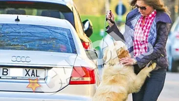 Romanita stie secretul frumusetii vesnice! Se plimba cate o ora cu cainele prin parc!