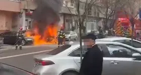 Galerie foto - poza 3