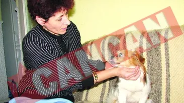 Un pechinez i-a salvat viata stapanei