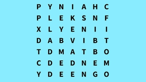 Test de inteligență | Identificați cuvântul "MAX" în maximum 6 secunde!