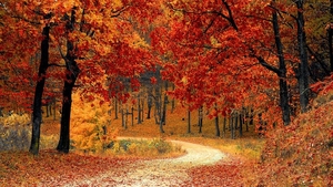 Prognoza meteo 17 septembrie: Scăpăm de ploi! Vreme frumoasă în majoritatea țării