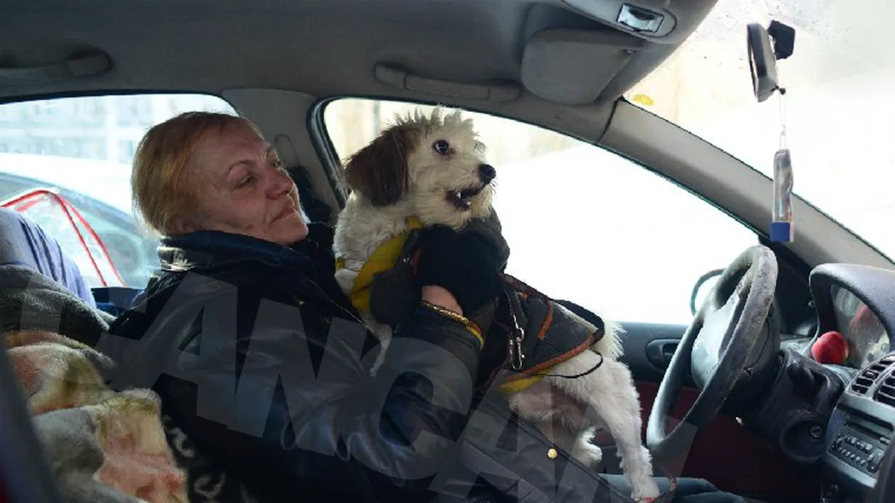 Am aflat întreaga poveste. Adevărul despre maşina contabilei care cerşeşte la metrou