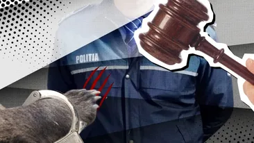 Avem decizia de ultimă oră din dosarul perversului ”Lăbuță” care a mușcat un polițist! Judecătorii din Constanța au decis să-l…