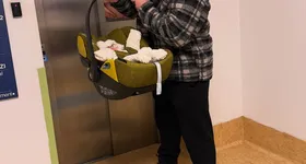 Galerie foto - poza 4