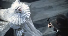 Galerie foto - poza 2