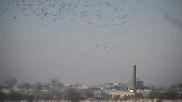 METEO 30 MARTIE! În unele zone din ţară vremea se va răci