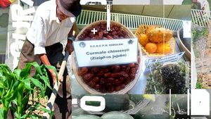 Ce mai cultivă oltenii în "Sahara". La Dăbuleni, câștigă teren kiwi, kaki, lonicera și aronia