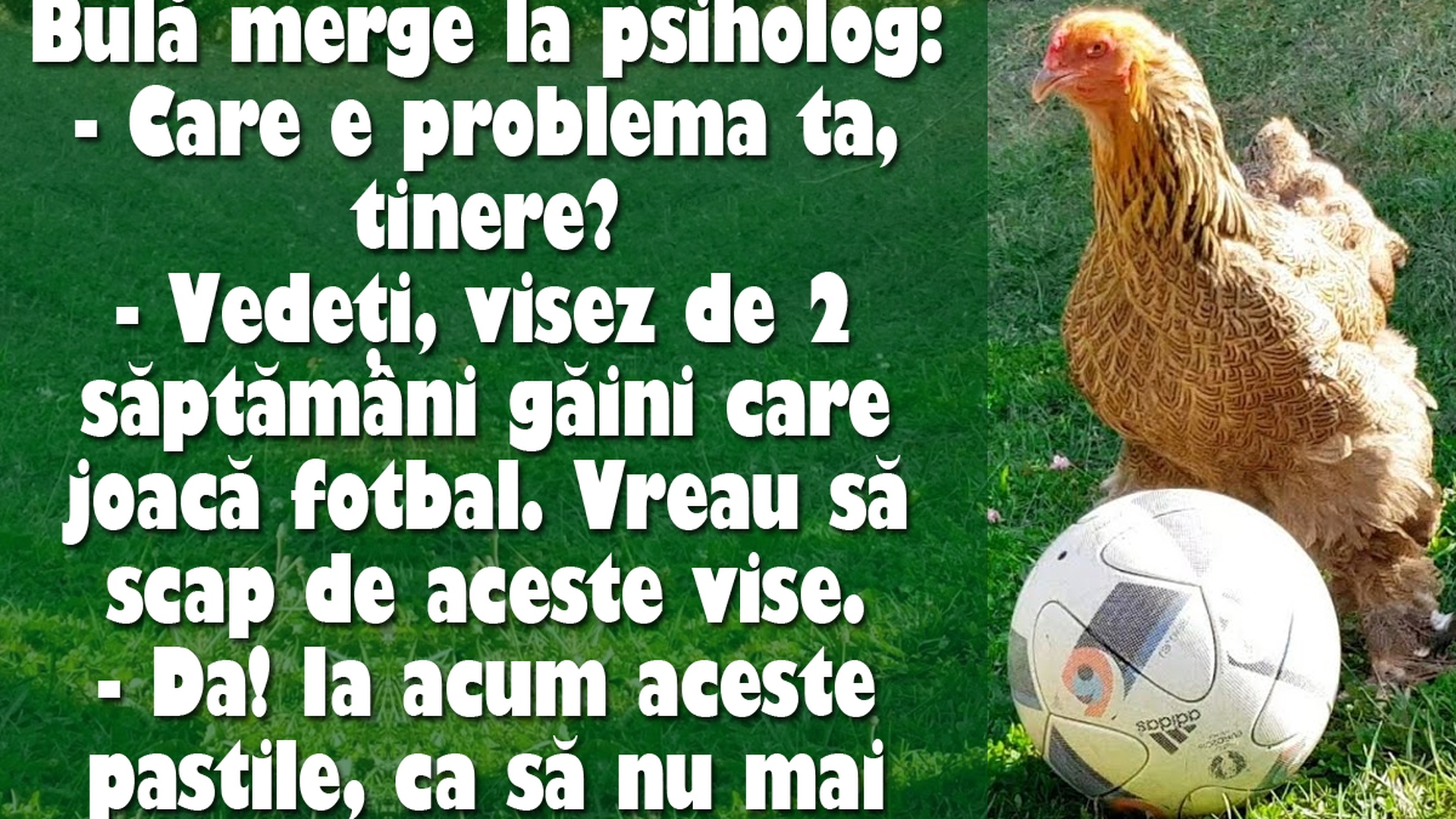 BANC | Bulă visează găini care joacă fotbal