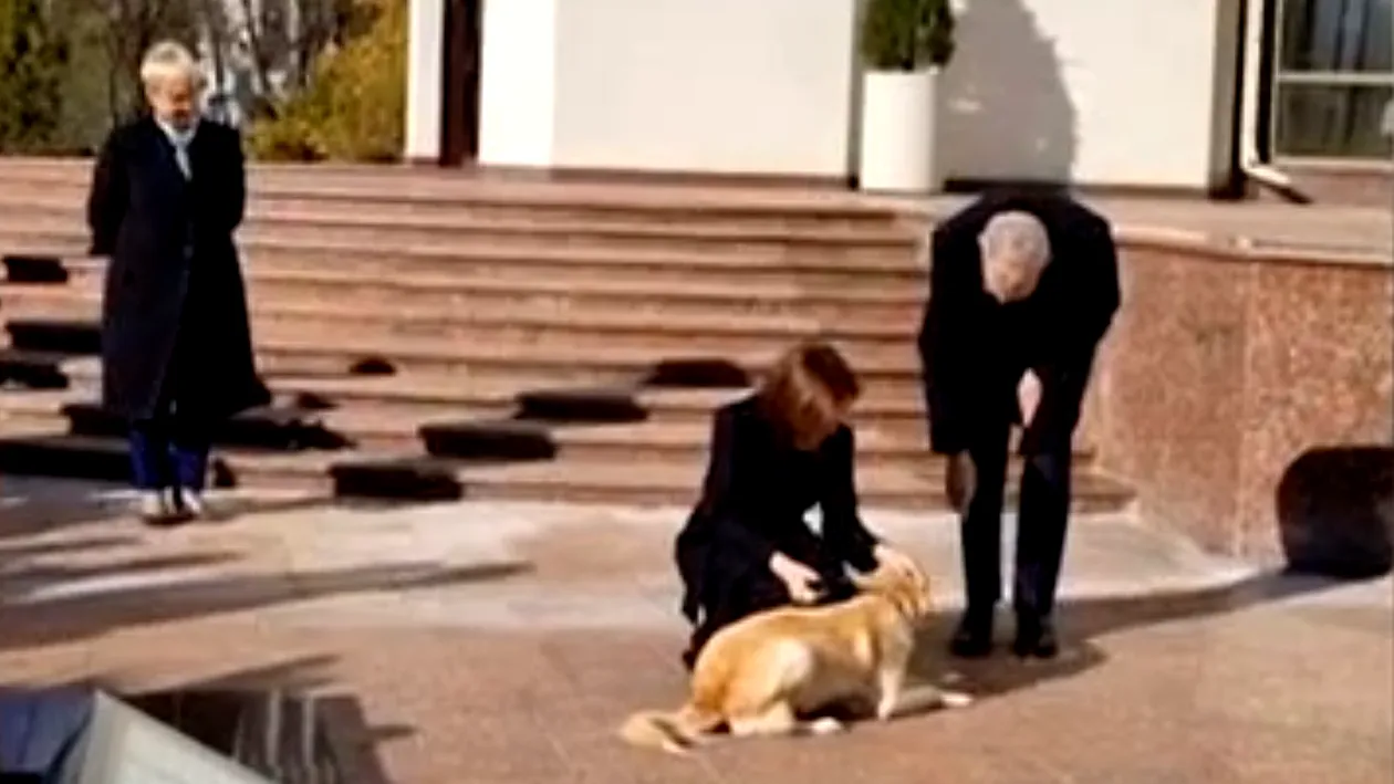 Câinele Maiei Sandu l-a mușcat de mână pe președintele Austriei. Oficialul s-a ales cu un bandaj după “atacul” lui Codruț