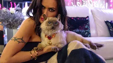 Atenţie! Imagini şi mărturii şocante. L-a deshumat pe răposatul Marty, apoi... Zăvo şi-a împăiat motănelul! “Îl îngropasem lângă tata!”