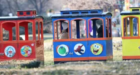 Galerie foto - poza 2