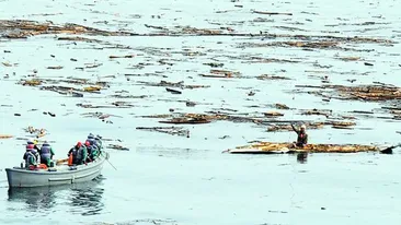 L-au salvat dupa ce a stat 48 de ore pe acoperisul casei