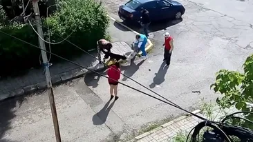 Scene şocante în Târgovişte: Bichon măcelărit de pitbull în Parcul Aşchiuţă, sub ochii copiilor