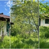 Localitatea din România în care poți cumpăra o casă tradițională cu doar 9000 de euro. Terenul are 1800 de metri pătrați