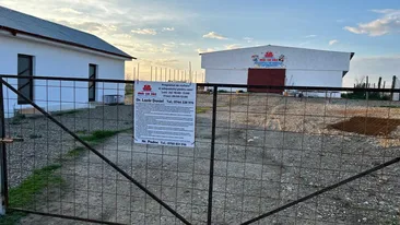 Ce au descoperit polițiștii la descinderea în adăpostul din Suraia, județul Vrancea. Iubitorii de animale fac acuzații grave la adresa medicului veterinar