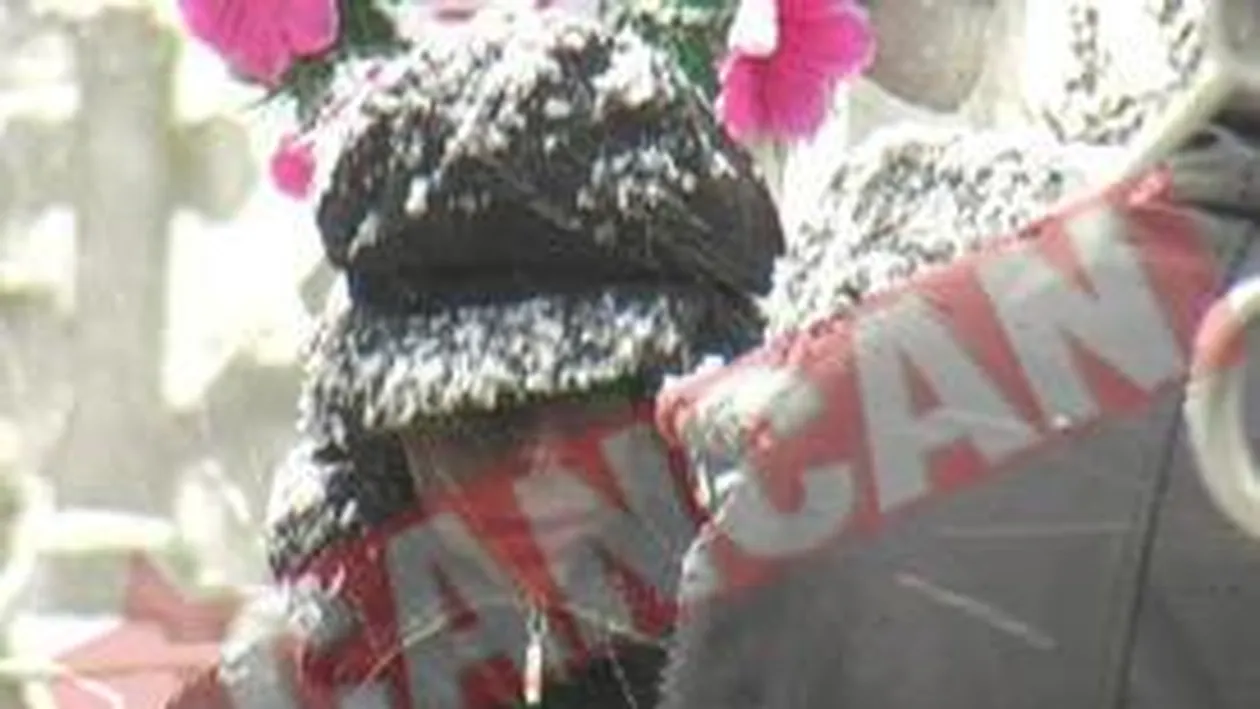 Andreea Marin a lipsit de la inmormantarea bunicului ei