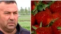 Cât a ajuns să coste o caserolă de 500 de grame de căpşune româneşti. Scumpirile se simt şi la cireşe sau caise