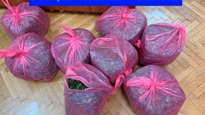 Captură fabuloasă la Iași. 25 de kilograme de marijuana africană, aduse din Kenya cu ruta Suedia
