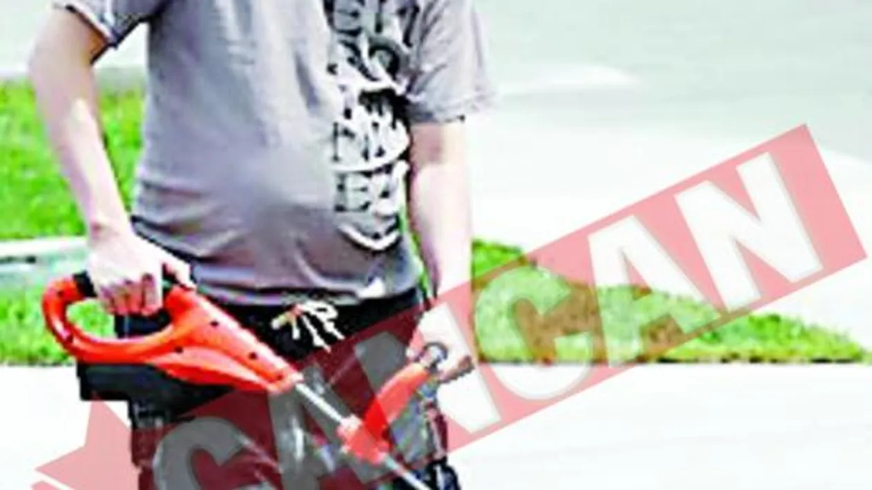 Gravidul s-a apucat de gradinarit