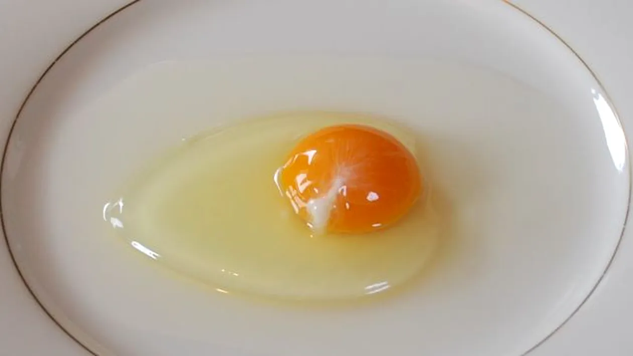De ce ouăle crude au un “fir” albicios în interior? Tu ştii ce este şi ce rol are?