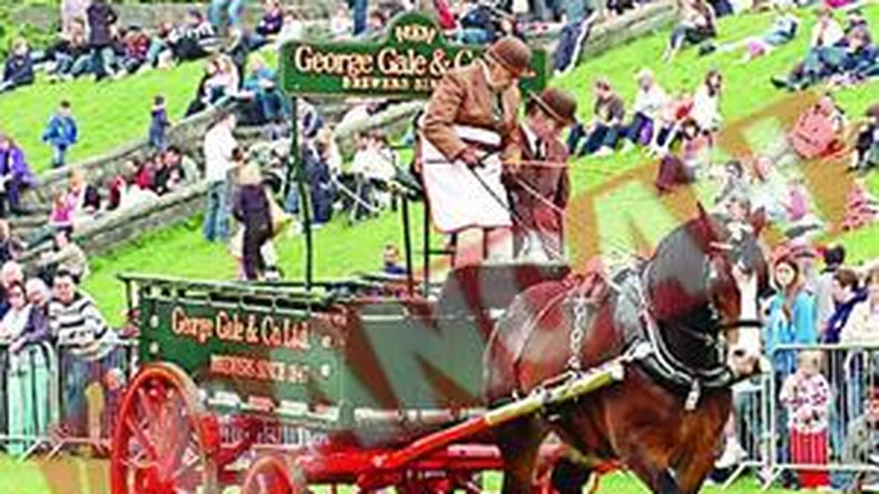 Un cal de o tona a atacat spectatorii