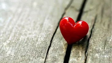 Dragostea chiar plutește în aer! Rodul iubirii unor tineri a fost ”văzut” într-un corcoduș din fața unui bloc din Bârlad