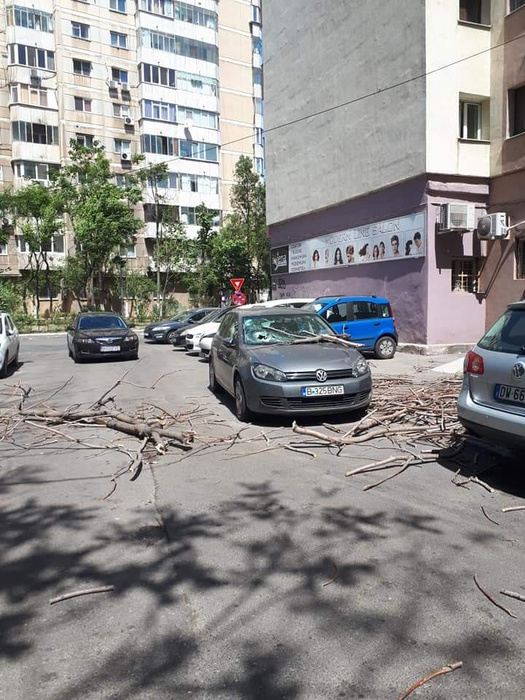 Vântul face ravagii în Capitală. Zeci de copaci au cedat rănind o persoană. FOTO